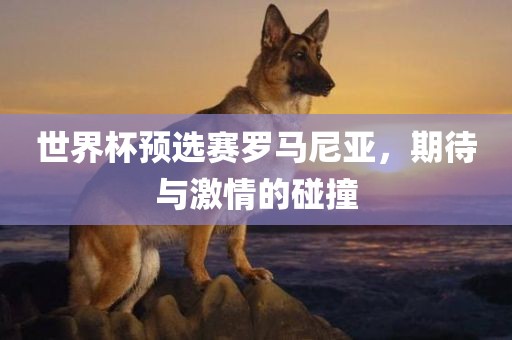 世界杯预选赛罗马尼亚，期待与激情的碰撞衡水勇创橡塑制品有限公司