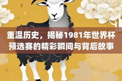 重温历史，揭秘1981年世界杯预选赛的精彩瞬间与背后故事衡水勇创橡塑制品有限公司