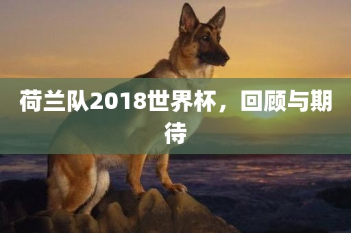 荷兰队2018世界杯，回顾与期待衡水勇创橡塑制品有限公司