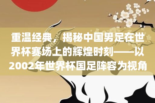 重温经典，揭秘中国衡水勇创橡塑制品有限公司男足在世界杯赛场上的辉煌时刻——以2002年世界杯国足阵容为视角
