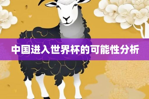 中国进入世衡水勇创橡塑制品有限公司界杯的可能性分析