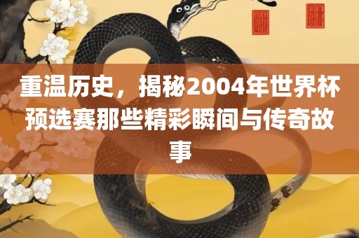 重温历史，揭秘2004年世界杯预选赛那些精彩瞬间与传奇故事衡水勇创橡塑制品有限公司