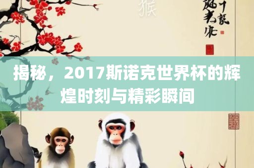 揭秘，2017斯诺克世界杯的辉煌时刻与精彩瞬间衡水勇创橡塑制品有限公司