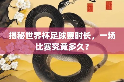 揭秘世界杯足球赛时长，一场比赛究竟多久？衡水勇创橡塑制品有限公司