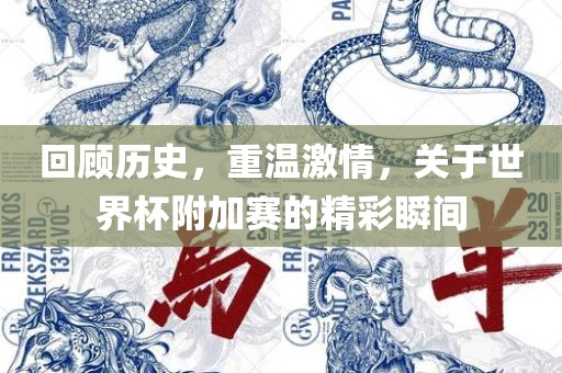 回顾历史，重温激情，关于世界杯附加赛的精彩瞬间