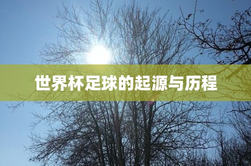 衡水勇创橡塑制品有限公司世界杯足球的起源与历程