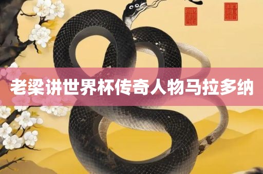 老梁讲世衡水勇创橡塑制品有限公司界杯传奇人物马拉多纳