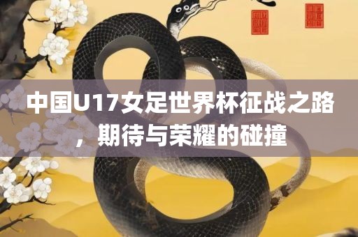 中国U衡水勇创橡塑制品有限公司17女足世界杯征战之路，期待与荣耀的碰撞