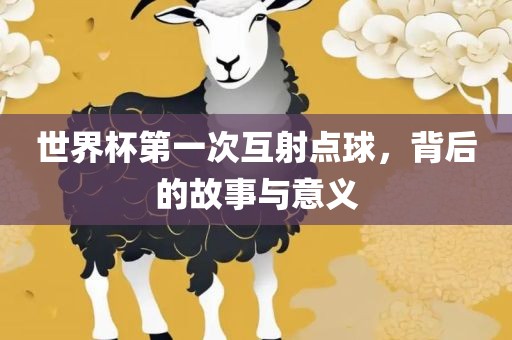 世界杯第一次互射点球，背后的故事与意义衡水勇创橡塑制品有限公司