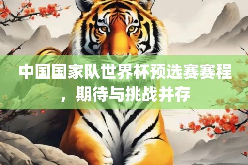 中国国家队世界杯预选赛赛程，期待与挑战并存衡水勇创橡塑制品有限公司