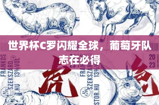 世界杯C罗闪耀全球，葡萄牙队志在必得衡水勇创橡塑制品有限公司