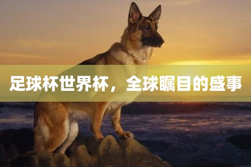 足球杯世界杯，全球瞩目的盛事