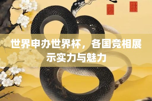 世界申办世界杯，各国竞相展示实力与魅力衡水勇创橡塑制品有限公司