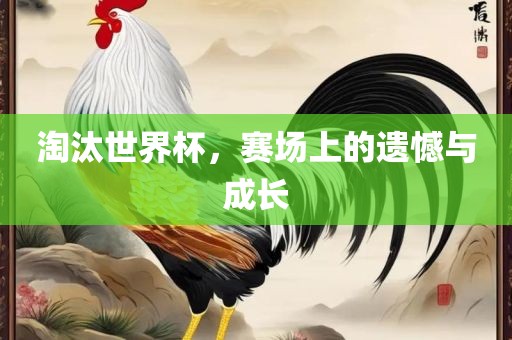 淘汰世界杯，赛场上的遗憾与成长