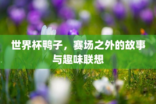 世界杯鸭子，赛场之外的故事与趣味联想衡水勇创橡塑制品有限公司