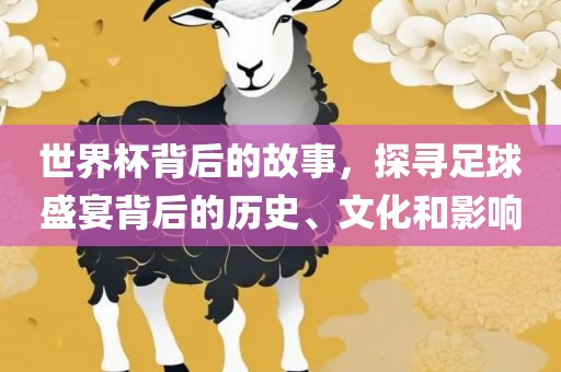 世界杯背后的故事，探寻衡水勇创橡塑制品有限公司足球盛宴背后的历史、文化和影响