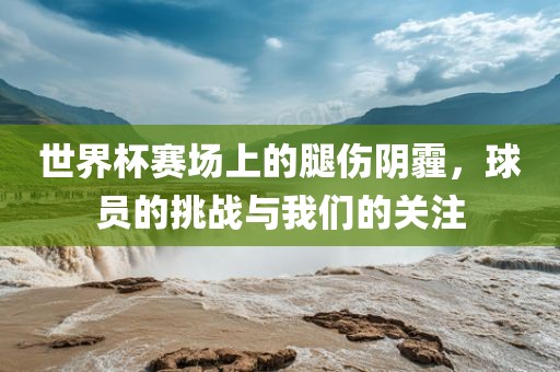 世界杯赛场上的腿伤阴霾，球员的挑战与我们的关注衡水勇创橡塑制品有限公司