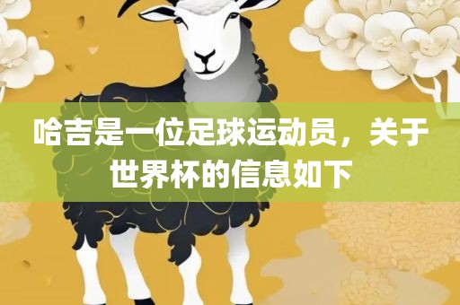 哈吉是一位足球运动员，关于世界杯的信息如下