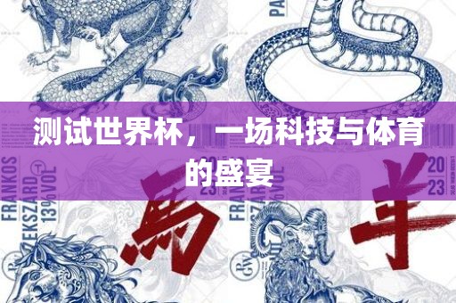 测试世界杯，一场科技与体育的盛宴