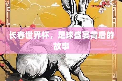 长春世界杯，足球盛宴背后的衡水勇创橡塑制品有限公司故事