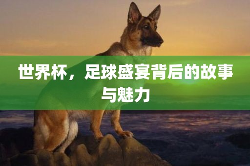 世界杯，足球盛宴背后的故事与魅力