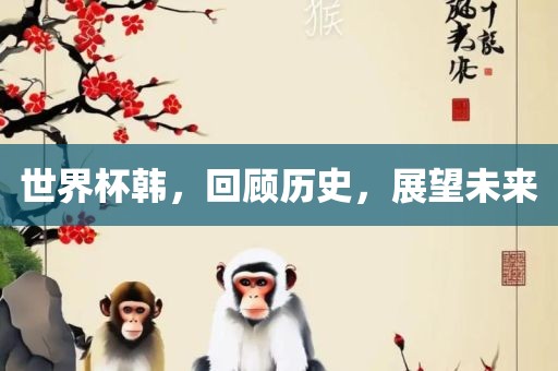 世界杯韩，回顾历史，展望未来衡水勇创橡塑制品有限公司