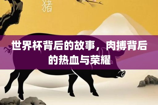 世界杯背后的故事，肉搏背后的热血与荣耀