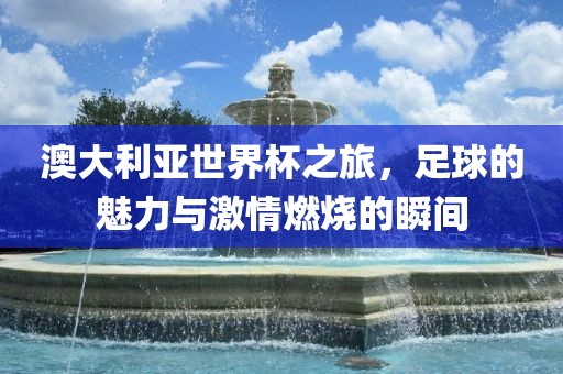 澳大利亚世界杯之旅，足球的魅力与激情燃烧的瞬间
