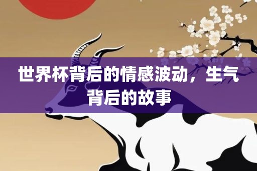 世界杯背后的情感波动，生气背后的故事衡水勇创橡塑制品有限公司