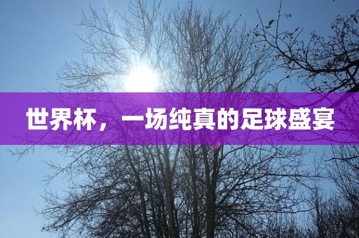 世界杯，一场纯真的足球盛宴