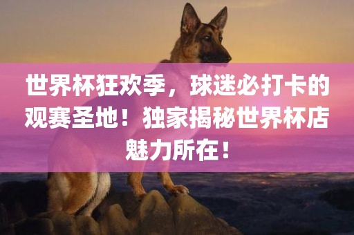 世界杯狂欢季，球迷必打卡的观赛圣地！独家揭秘世界杯店魅力所在！