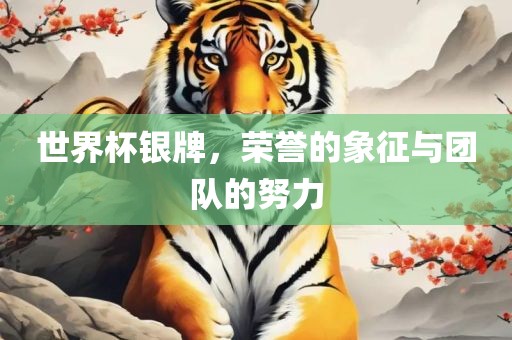 世界杯银牌，荣誉的象征与团队的努力衡水勇创橡塑制品有限公司