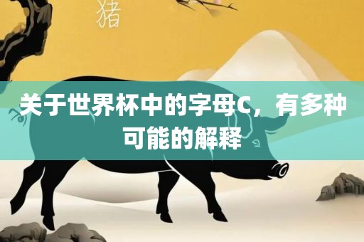 关于衡水勇创橡塑制品有限公司世界杯中的字母C，有多种可能的解释