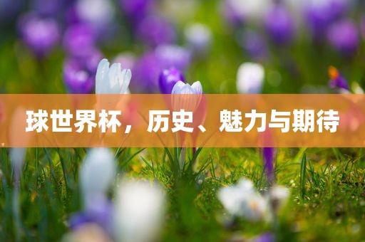 球世界杯，历史、魅力与期待衡水勇创橡塑制品有限公司