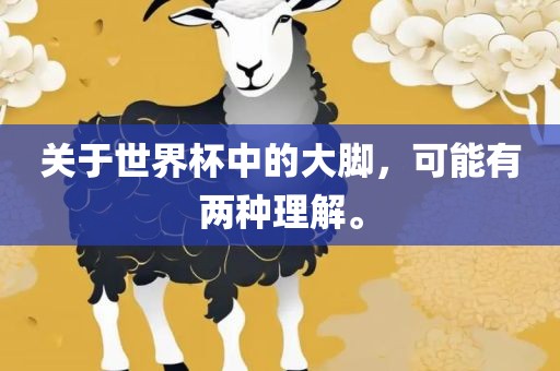 关于世界杯中的大脚，可能有两种理解。