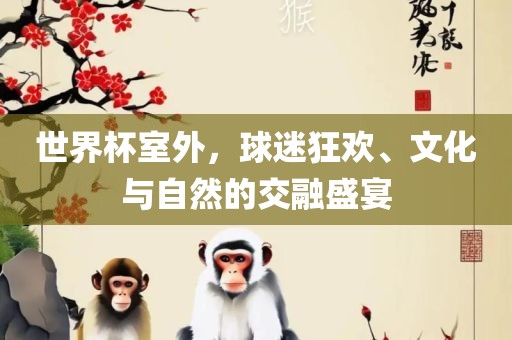 世界杯室外，球迷狂欢、文化与自然的交融盛宴