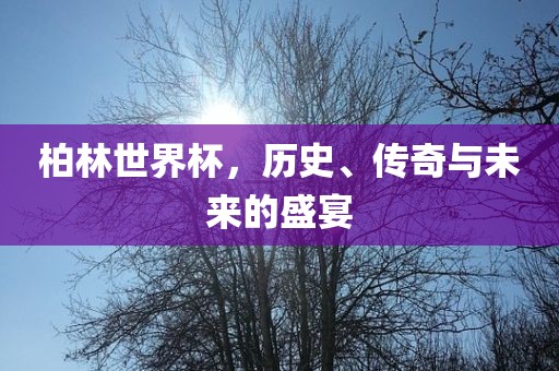 柏林世界杯，历史、传奇与未来的盛宴衡水勇创橡塑制品有限公司