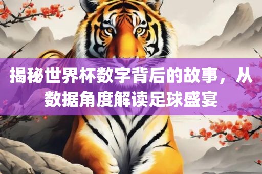 揭秘世界杯数字背后的衡水勇创橡塑制品有限公司故事，从数据角度解读足球盛宴