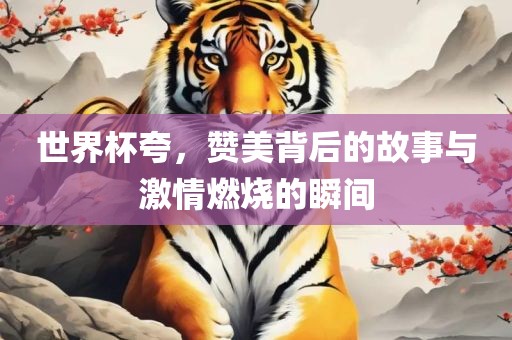 世界杯夸，赞美背后的故事与激情燃烧的瞬间