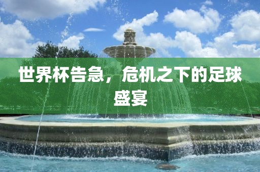 世界衡水勇创橡塑制品有限公司杯告急，危机之下的足球盛宴