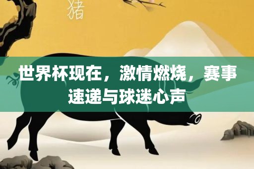 世界杯现在，激情燃烧，赛事速递与球迷心声