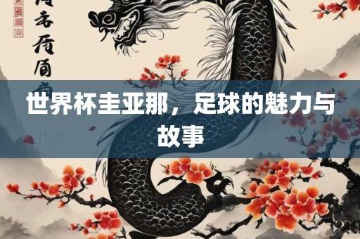 世界杯圭亚那，足球的魅力与故事