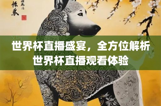 世界杯直播盛宴，全方位解析世界杯直播观看体验