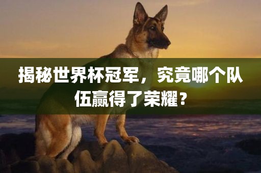 揭秘世界杯冠军，究竟哪个队伍赢得了荣耀？