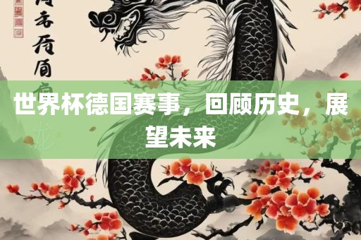 世界杯德国赛事，回顾历史，展望未来