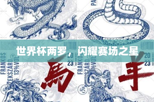 世界杯两罗，闪耀赛场之星