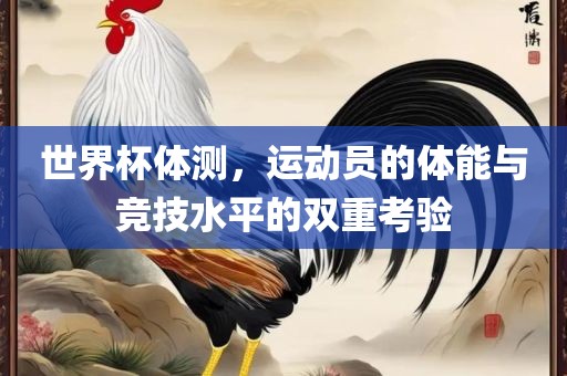 世界杯体测，运动员的体能与竞技水平的双重考验