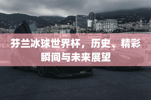 芬兰冰球世界杯，历史、精彩瞬间与未来展望