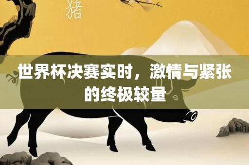 世界杯决赛实时，激情与紧张的终极较量