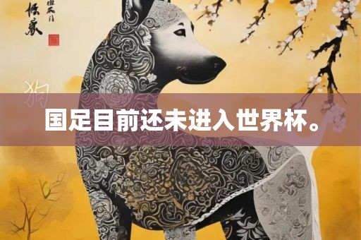 国足目前还未进入世界杯。